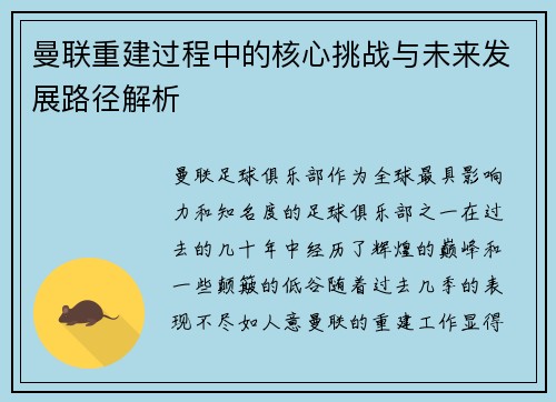 曼联重建过程中的核心挑战与未来发展路径解析