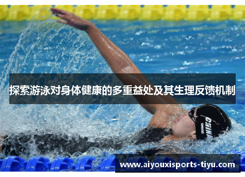 探索游泳对身体健康的多重益处及其生理反馈机制