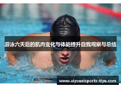 游泳六天后的肌肉变化与体能提升自我观察与总结